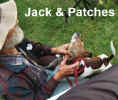 JackPatches.jpg (38505 bytes)
