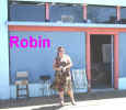 Robin1.jpg (26115 bytes)