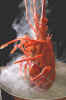 Lobster.jpg (16588 bytes)